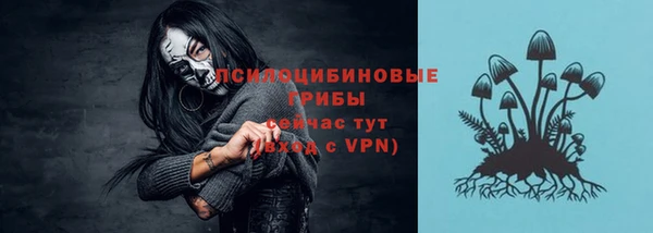 героин Богданович
