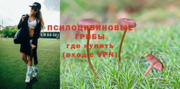 ешки Белоозёрский