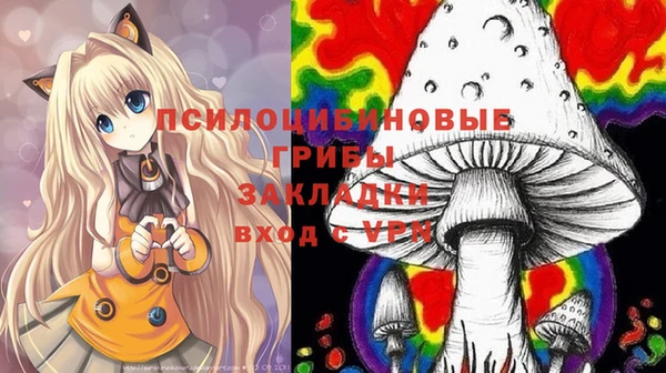 ешки Белоозёрский