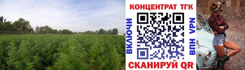 наркотики Светлый ТГК THC oil